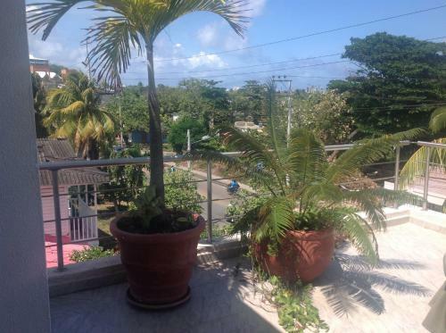 Lili House