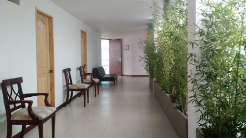 Hotel Casa Chente