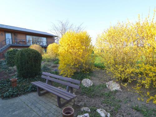 Charming Apartment In Morsdorf With Terrace