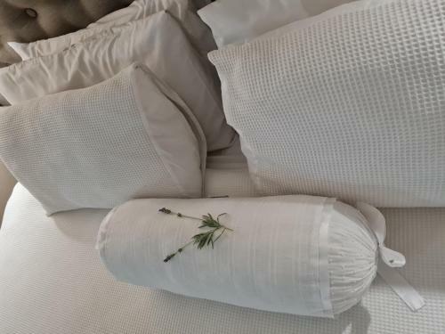 Bed & Breakfast Bio-pointment Guest Suites