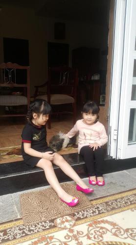 De Daisy Villa