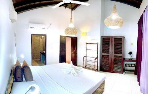 Hotel Dream Garden