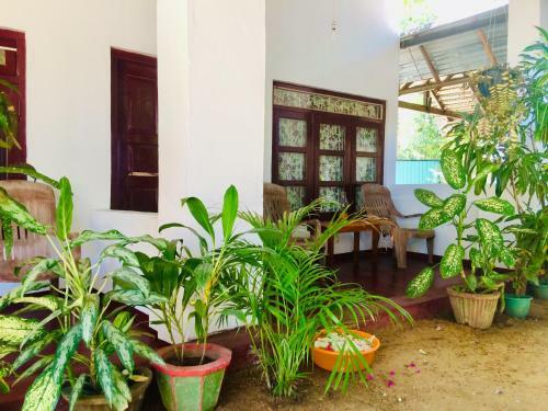 Tropicana Home Stay