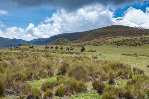 Tambopaxi Lodge