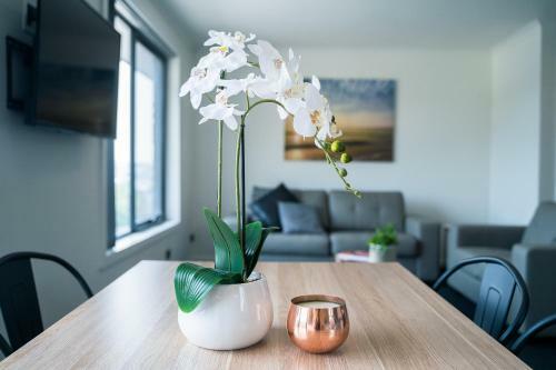 Youngtown Executive Apartments