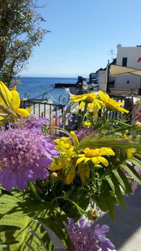 Hostal Casa Mulino