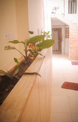 Albergue Hotel Paradiso