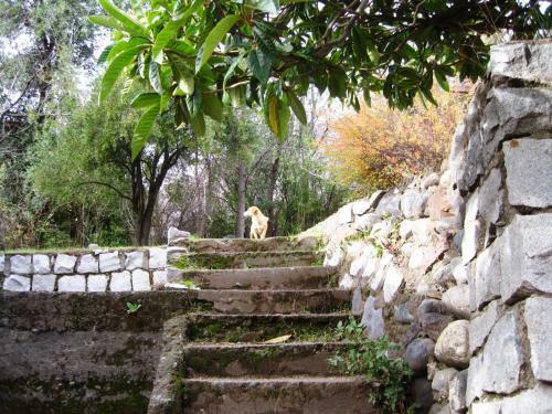 Hotel Haiku Caba�as Panor�micas