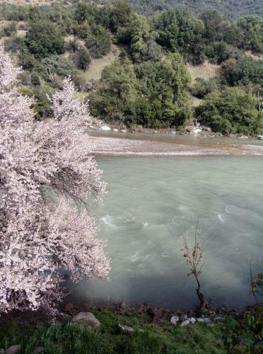 Hotel Haiku Caba�as Panor�micas