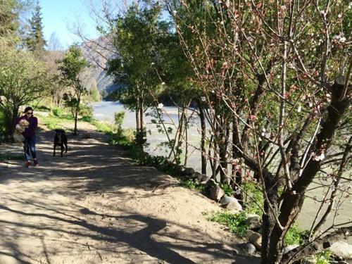 Hotel Haiku Caba�as Panor�micas