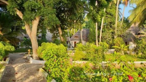 Hotel Menai Bay Beach Bungalows