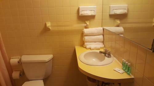 Motel Scottish Inns Niagara Falls