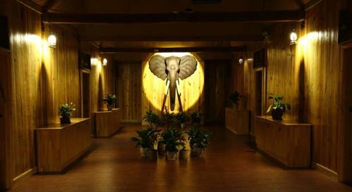 Posada Dai Yuan Inn