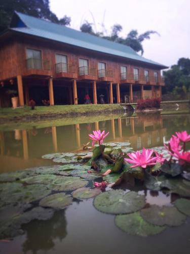 Posada Dai Yuan Inn