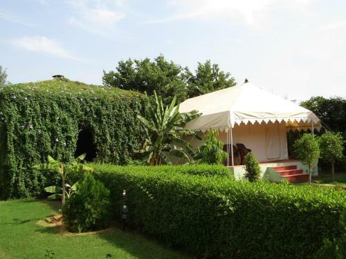 Hotel Jungle Retreat Ranthambore