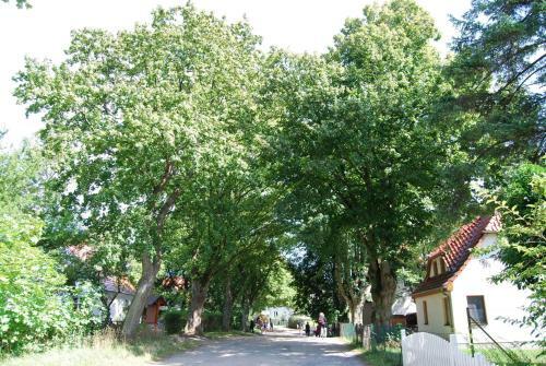 Apartamento Ferienwohnung Hiddensee Hitthim