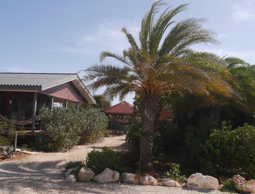 Hotel Red Palm Village