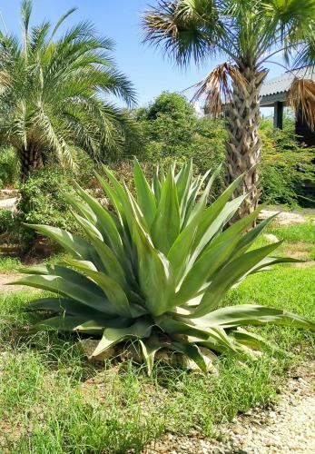 Hotel Red Palm Village
