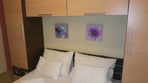 Apartments Rino Lux