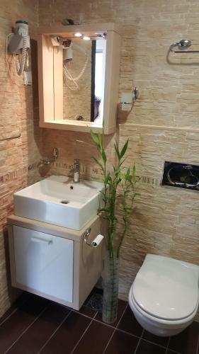 Apartments Rino Lux