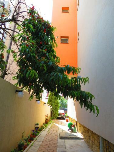Hostal Marynero