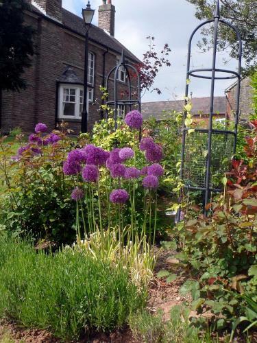 Bed & Breakfast Littlebridge House