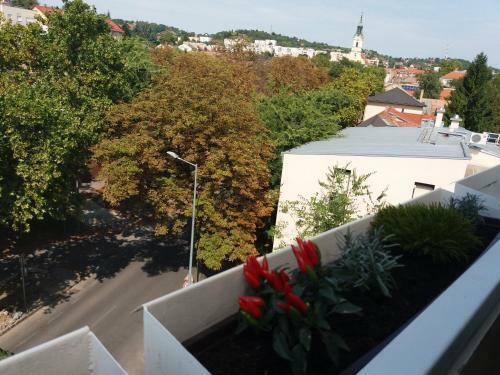 M�ln�s Macska Apartman