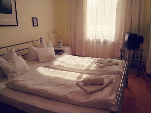 Hotel Oroszl�n Szigetv�r