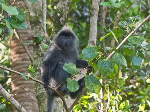 Hotel Cubadak Paradiso Village