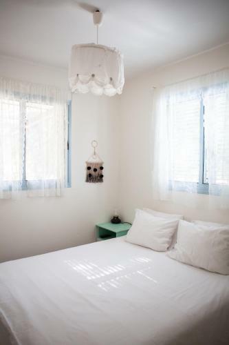 Lodge Olive - Israeli Zimmer