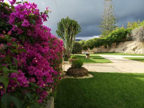Luxury Home Garden Apartment Bosa Marina