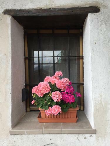 Apartamento Maison Cassius