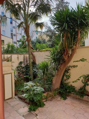 Apartamento Trinchese132