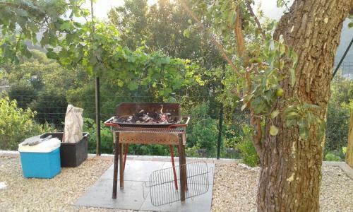 Agroturismo Agriturismo Nonni Devia