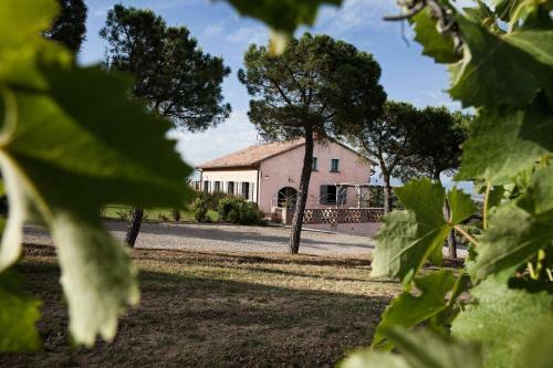 Hostal Camere Febo