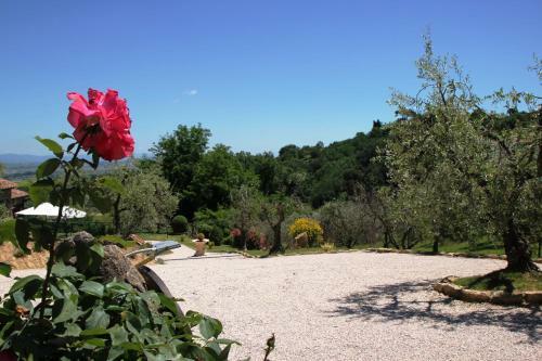 Agroturismo Pacifico