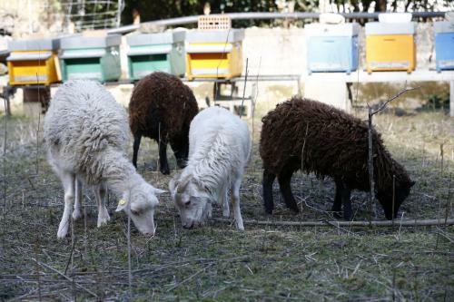 Agroturismo Quelli Della Locanda Barbin