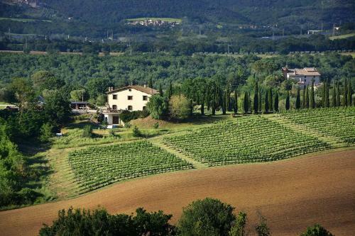 Agroturismo Il Collicello