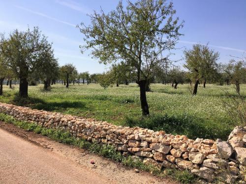 Agroturismo I Carusi Relais