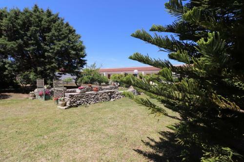 Apartamento Masseria Fag�