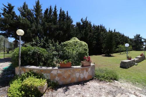 Apartamento Masseria Fag�