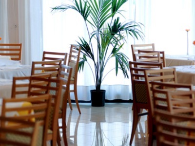 Meditur Hotel Pomezia