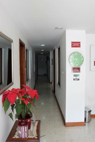 Hostal Pasadena Hostel