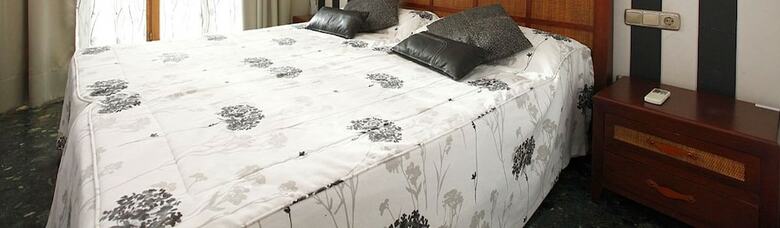 Hostal Ansonea