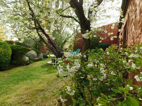 Posada Hostal Schilling