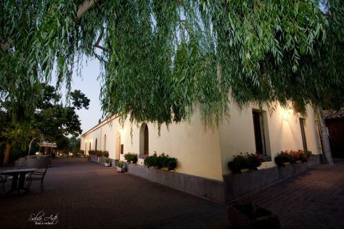 Agroturismo L'antica Vigna