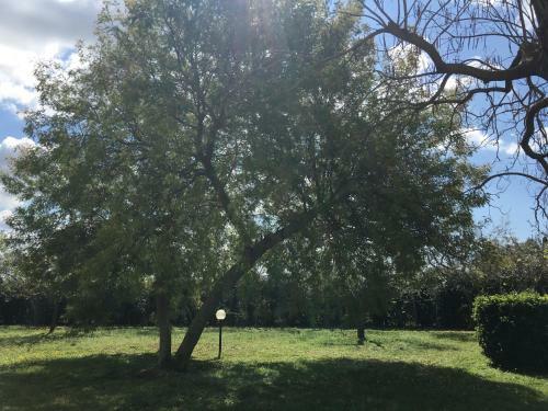 Apartamento Appartamenti Podere 13