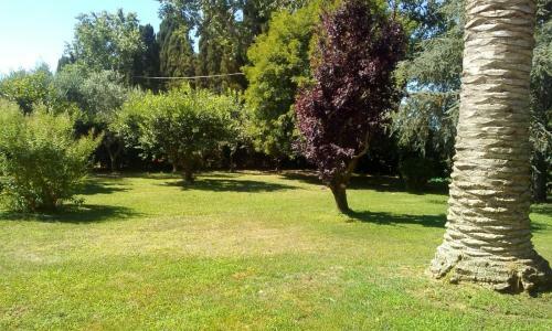 Apartamento Appartamenti Podere 13