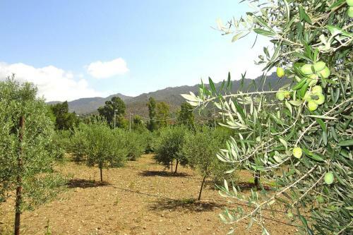 Holiday Home Solanas - Isr05016-f