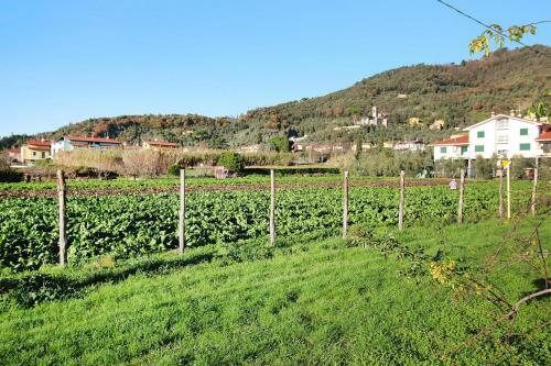 Villa Massaciuccoli - Ito04174-o